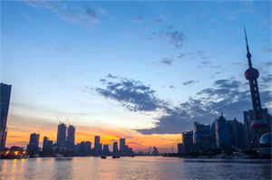 醉心自然之美：不可错过的上海后花园之旅！